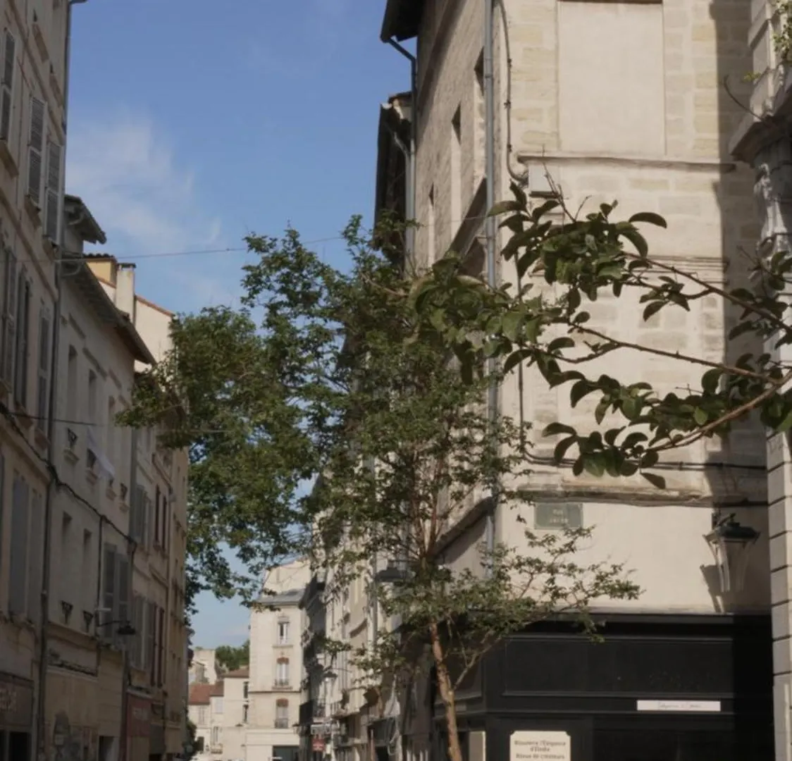 Maison Jacob - Hyper Centre - Maison Historique - Air Conditioning - Wifi Avignon
